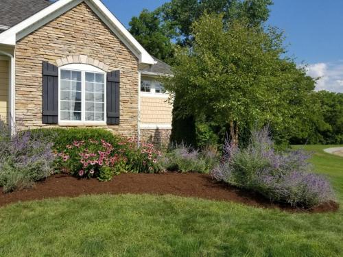 Front of house with garden