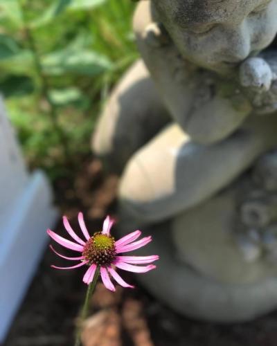 Flower and garden statue
