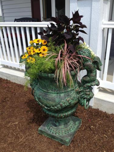 Variety of plants and flowers in pot