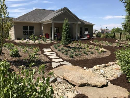 After image of landscaped backyard and new plants