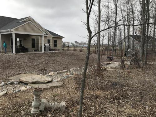 Before image of back yard with dead plants