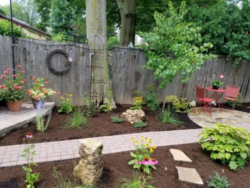 Backyard garden area