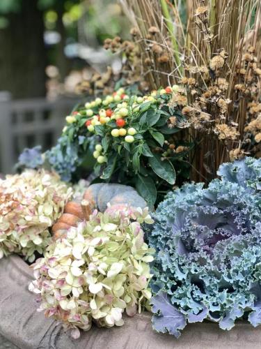 Plant and flower arrangement