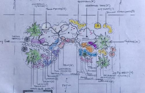 Drawn plan of landscaping