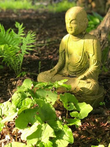 Buddha statue in garden